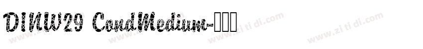 DINW29 CondMedium字体转换